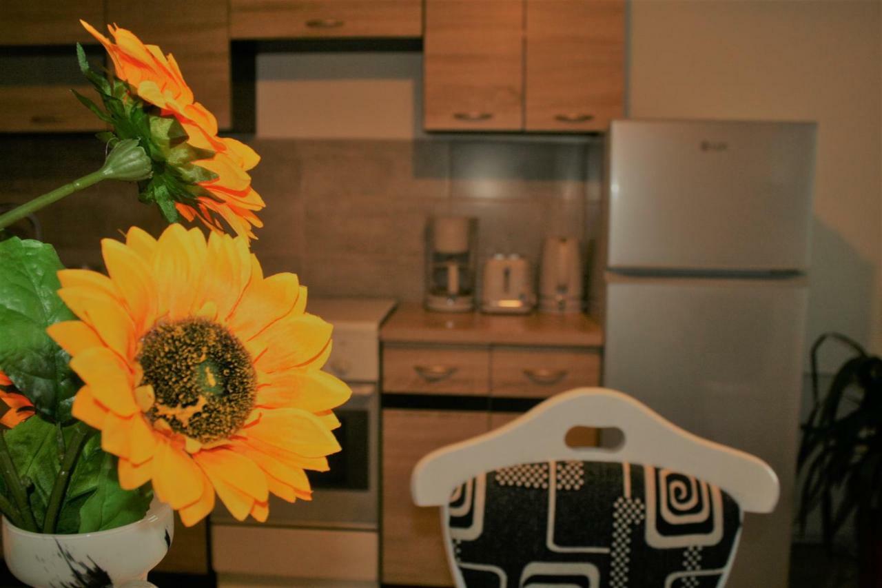 Casa Peterfi - Apartment With 3 Bedrooms And Spacious Living Room Târgu-Mureş Exterior foto